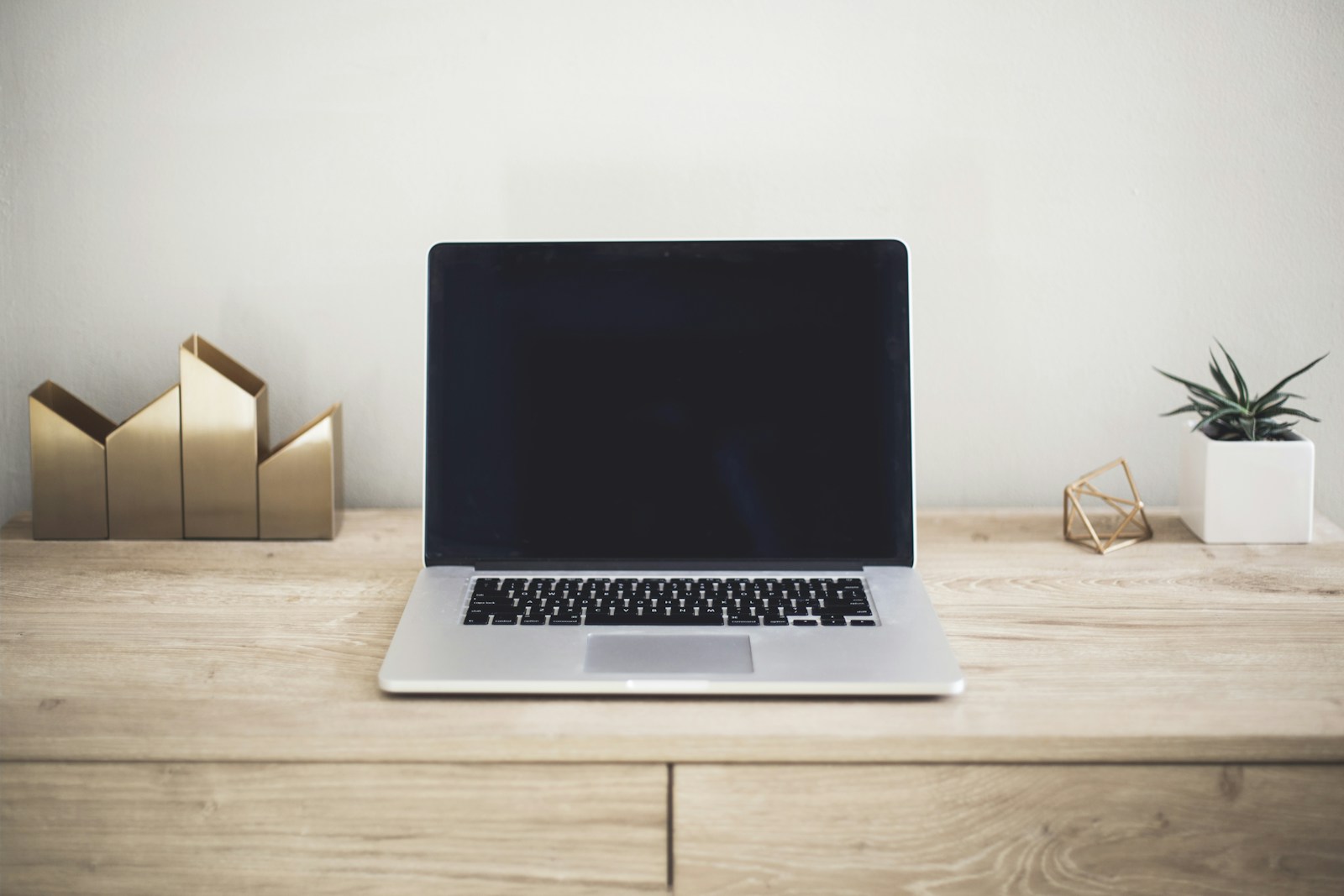 A laptop on a light desk beside a plant