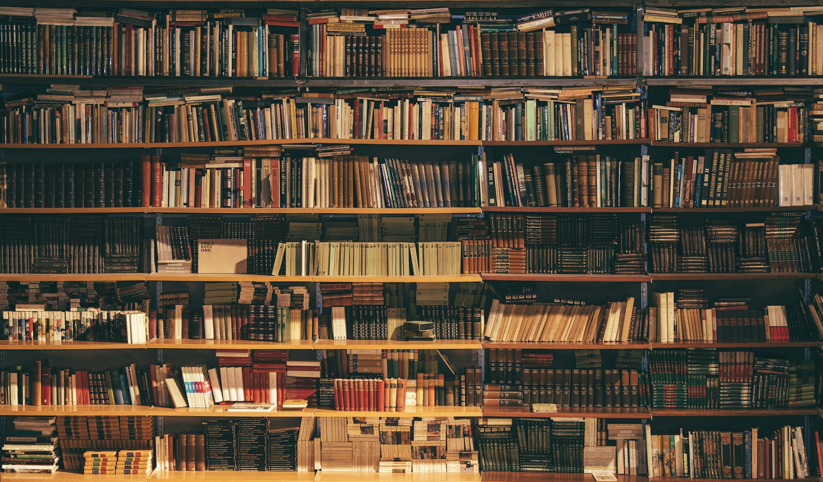 Bookshelves in a quiet reading environment