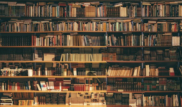Bookshelves in a quiet reading environment